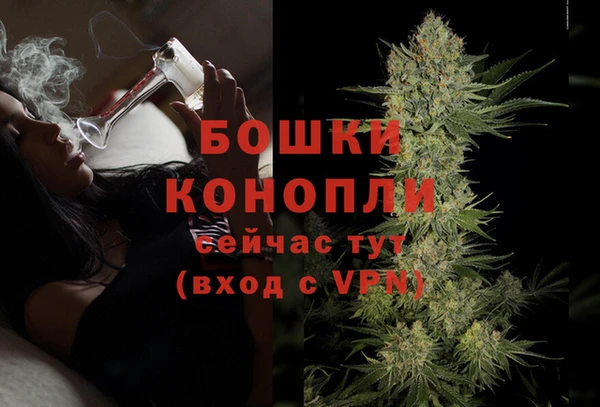 mix Белокуриха