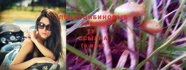 mix Белокуриха