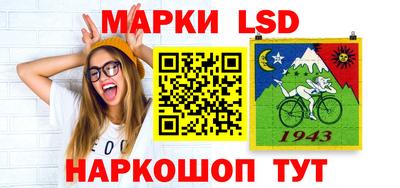 индика Новодвинск