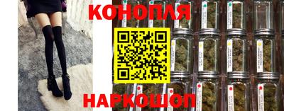 ECSTASY Новозыбков