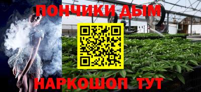 индика Новодвинск