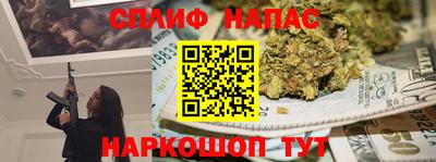 индика Новодвинск