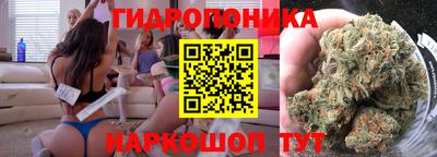 ECSTASY Новозыбков