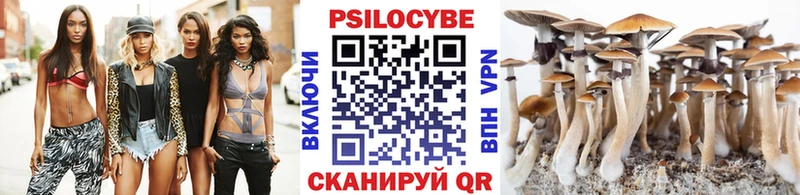 где купить наркоту  mega рабочий сайт  Галлюциногенные грибы Psilocybine cubensis  Реж 