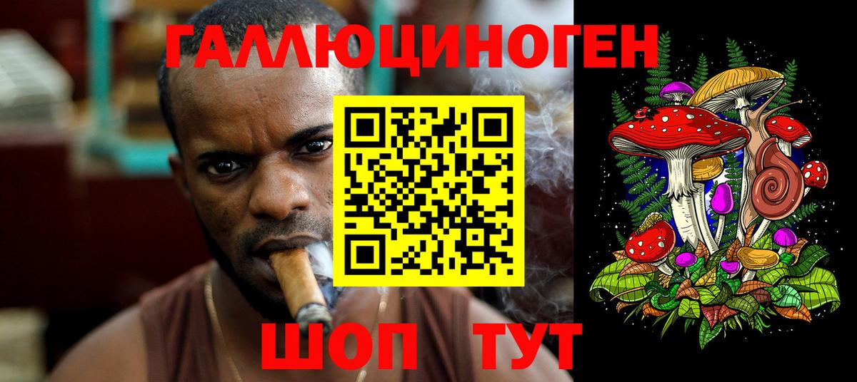 Реж  Псилоцибиновые грибы прущие грибы  Вход с VPN 