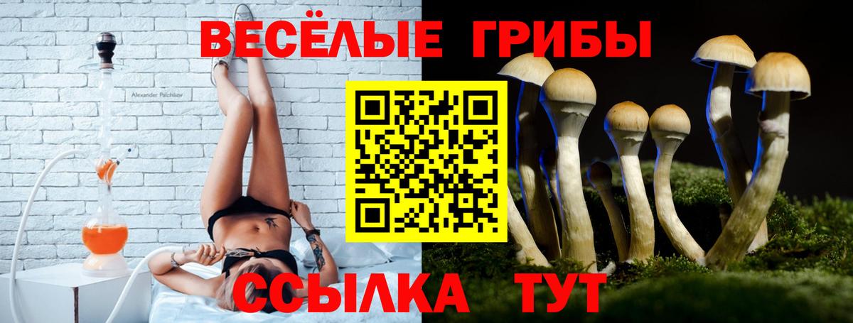 Псилоцибиновые грибы Magic Shrooms Реж
